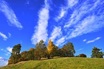 Beautiful sunny autumn landscape of Bohemian Switzerland with clouds over trees
