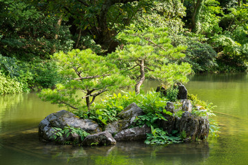 池に浮かぶ岩と松の木（日本庭園）