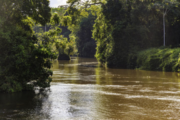 Awarradam in Surinam