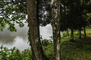 Obraz premium Awarradam in Surinam