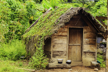 Little villages in Surinam