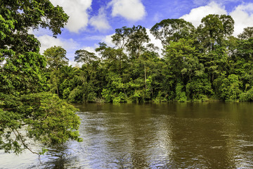 Rio Grade near Awaradam