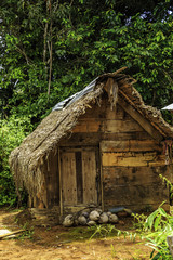 Village in Surinam