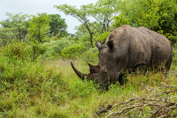 Afrika/Africa National Park