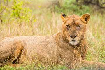 Afrika/Africa National Park