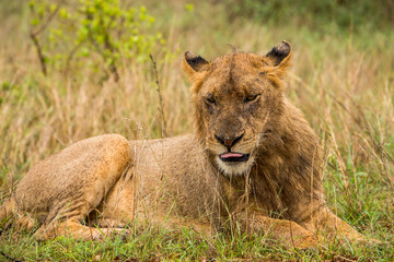 Afrika/Africa National Park