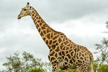 Afrika/Africa National Park