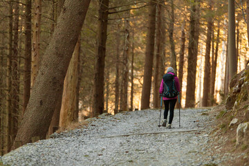 Obraz premium Young lady hiker in autumn