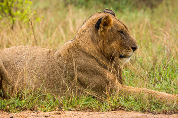 Afrika/Africa National Park