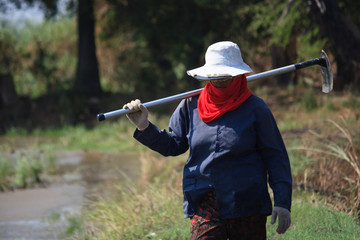 Thai farmer carrying hoe.