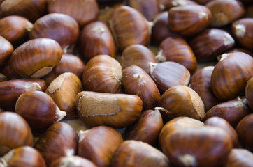 Castagne