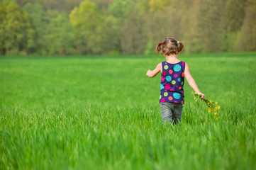 Fototapeta premium Child with flowers bouquet on green spring field, kid having fun outdoors 
