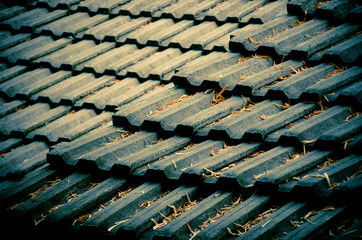 Earthenware roof of a building with leaves falling on it. Selective focus. Dark-blue tone. With vignetting effect.