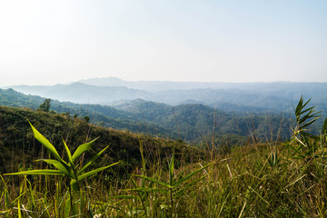 Fototapeta premium Wildnis in Thailand