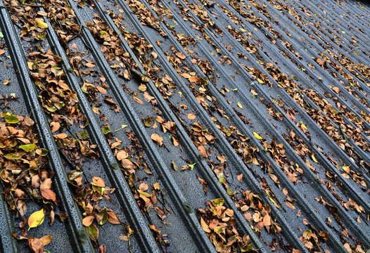 Iron roof of a building with lots of autumn leaves falling on it. There are grey, brown, green and yellow colors in the image. 