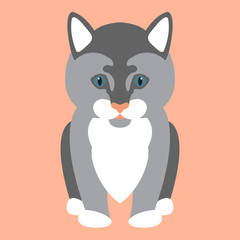 Cat sitting style vector illustration Flat