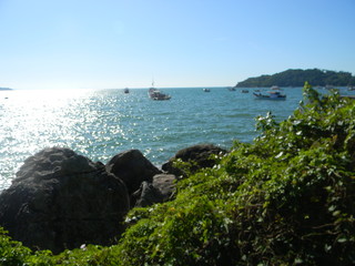 praia e Vegeta&ccedil;&atilde;o