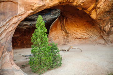 Arches National Park