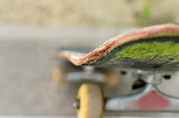 Young man with skateboard