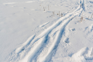 Fototapeta na wymiar Cross country ski tracks in freshly fallen snow
