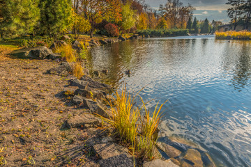 Фрагмент озера в осеннем парке