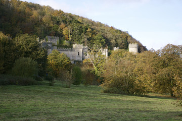 Fototapeta na wymiar Gwrych Castle nestled in the trees on a hill side behind trees in Wales - European castle in the UK during Autumn - close