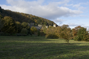 Fototapeta na wymiar Gwrych castle nestled in the trees on a hill side in Wales - European castle in the UK during Autumn