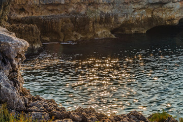 reflections in the water