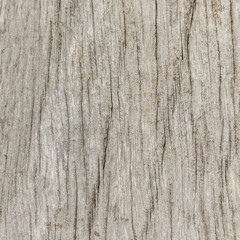 Naklejka premium texture of bark wood use as natural background