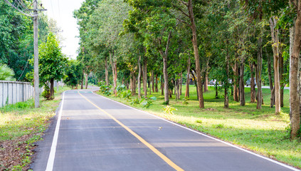 Bike lanes, Bike lane in Korat Thailand area with trees, Bike lane sign on asphalt road.