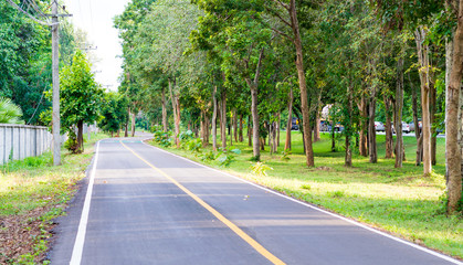 Bike lanes, Bike lane in Korat Thailand area with trees, Bike lane sign on asphalt road.