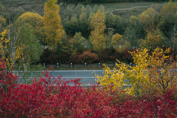 Obraz premium beautiful view of the road from a height. autumn
