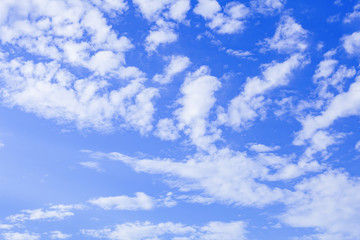 Obraz premium 雲