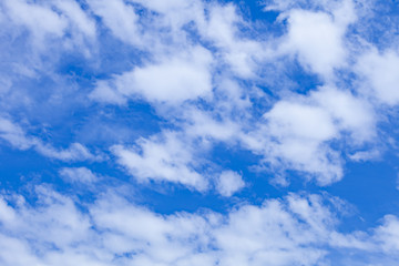 Fototapeta premium 雲