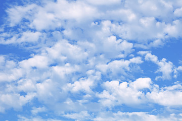 Obraz premium Chmura