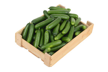 Gurken in einer Kiste