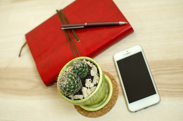 Set of cactus, cellphone and the daily planner