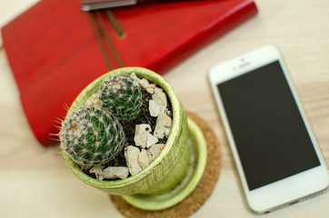 Set of cactus, cellphone and the daily planner
