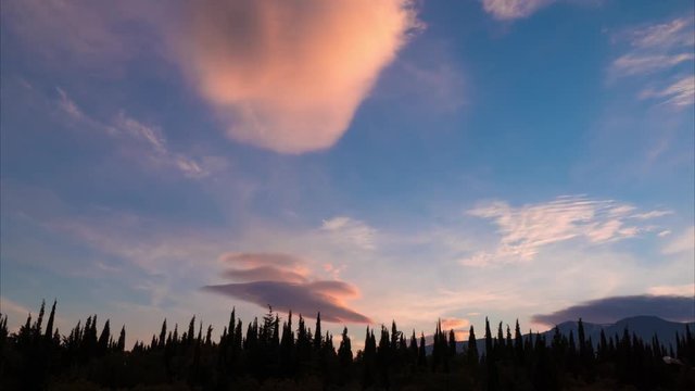 Clouds and green cypresses at sunset, time lapse, 4k / Clouds and beautiful green cypresses at sunset, time lapse, 4k