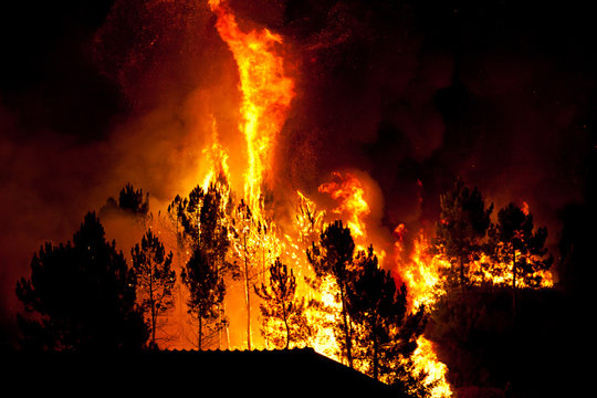 Forest Burns close to houses