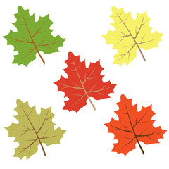 Sonbahar yaprakları