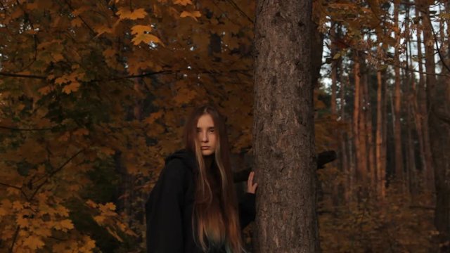 A girl in a hoody with her hair loose who holds a tree with her hand looks around sullenly on the prowl. A midshot of a girl. In a dark forest.