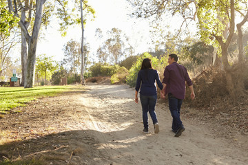 Obraz premium Mixed race couple walking in a park holding hands, back view