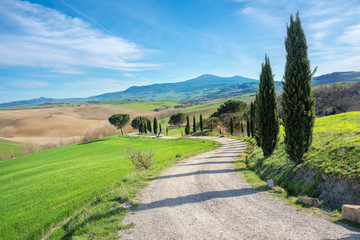 Fototapeta na wymiar Cuntryside in Val d'Orcia province.Tuscany, Italy