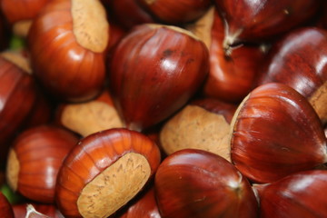 chestnuts