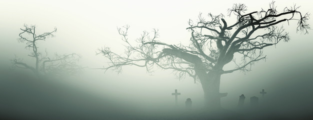 Horror Spooky Tree Dark Night .