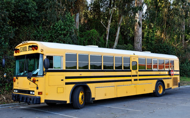 Parked School Bus