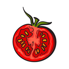 Sketch style drawing of ripe red half tomato, vector illustration isolated on white background. Half of ripe tomato, side view, hand drawn illustration