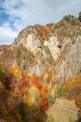 Autumn landscape. Fall in a mountain forest. Transfagarasan road in fall.