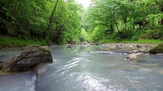 Coast of the Agura river on the territory of the Khosta district of Sochi in Krasnodar Krai of Russia